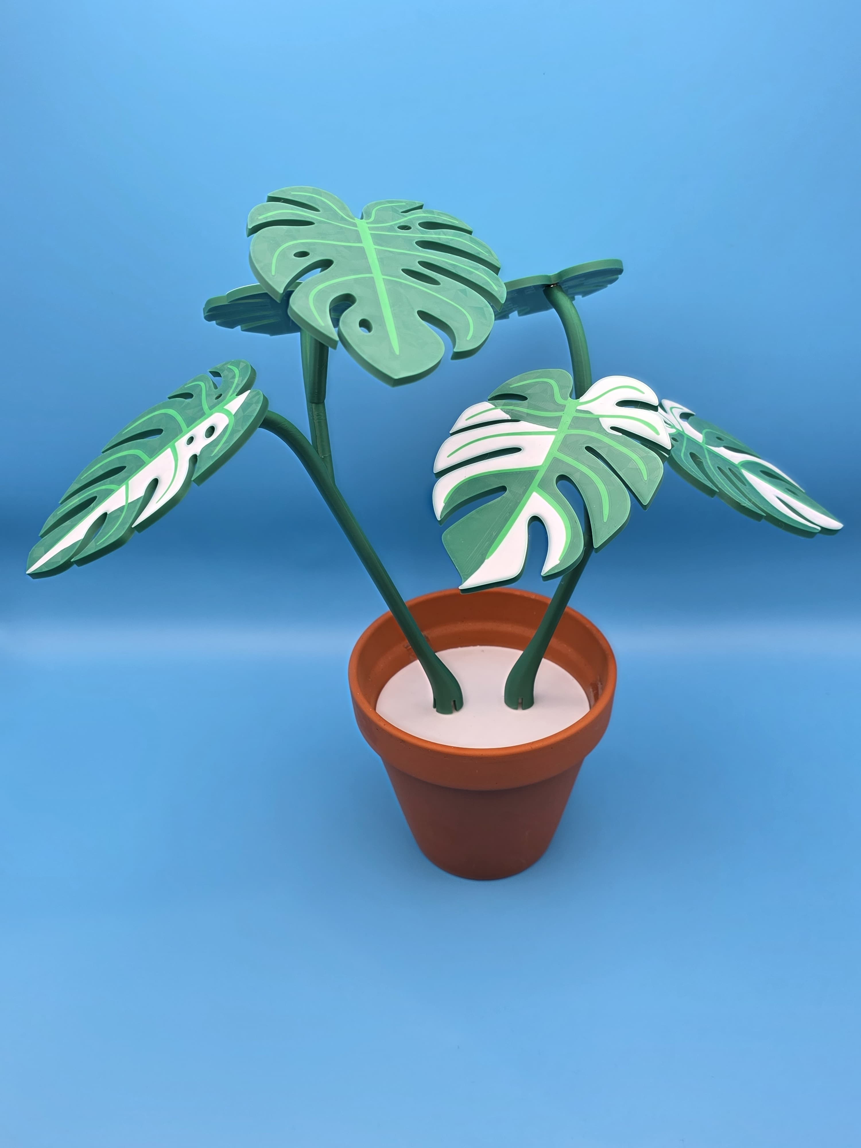 Monstera Untersetzer thumbnail 2