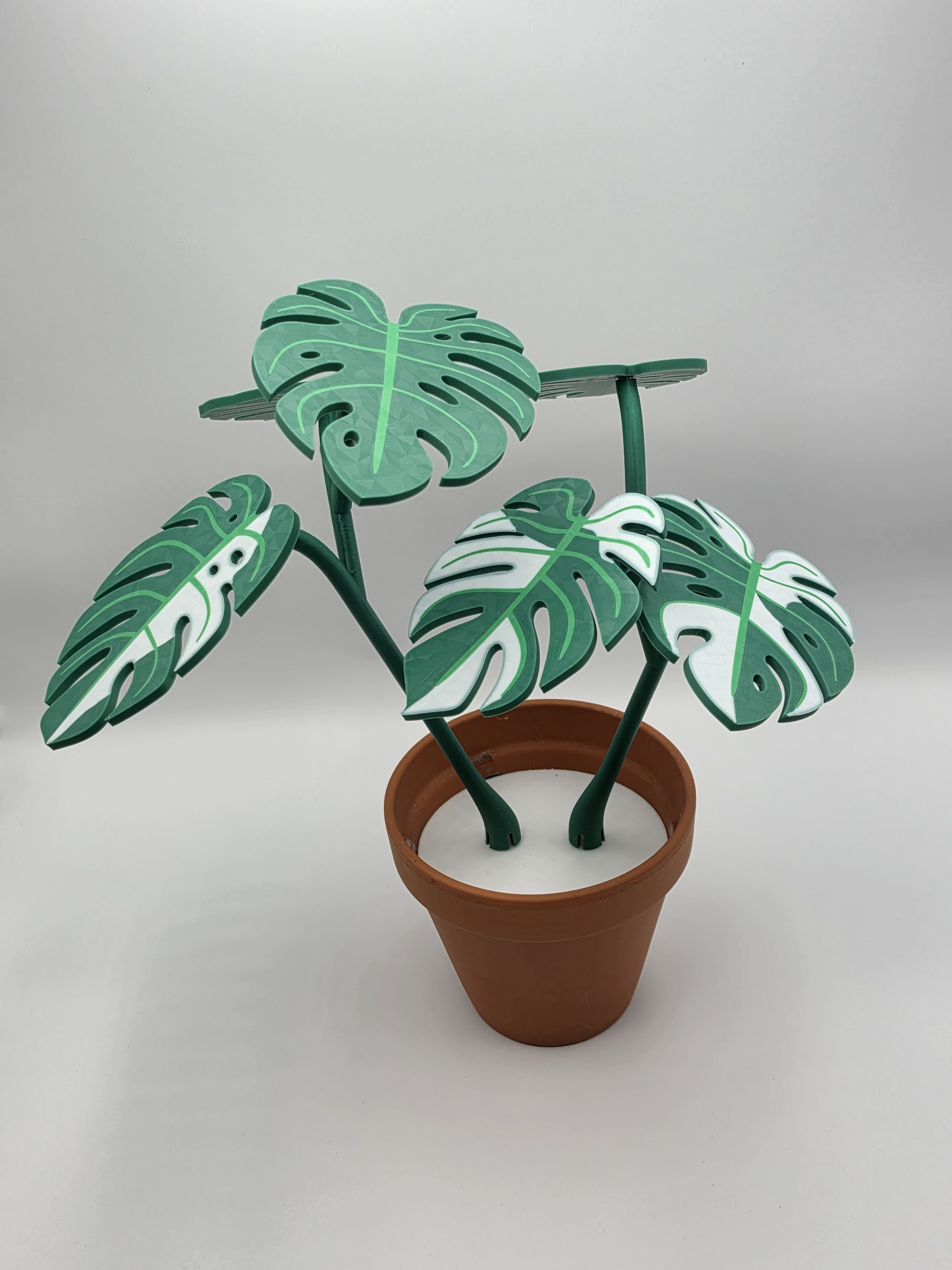 Monstera Untersetzer thumbnail 3